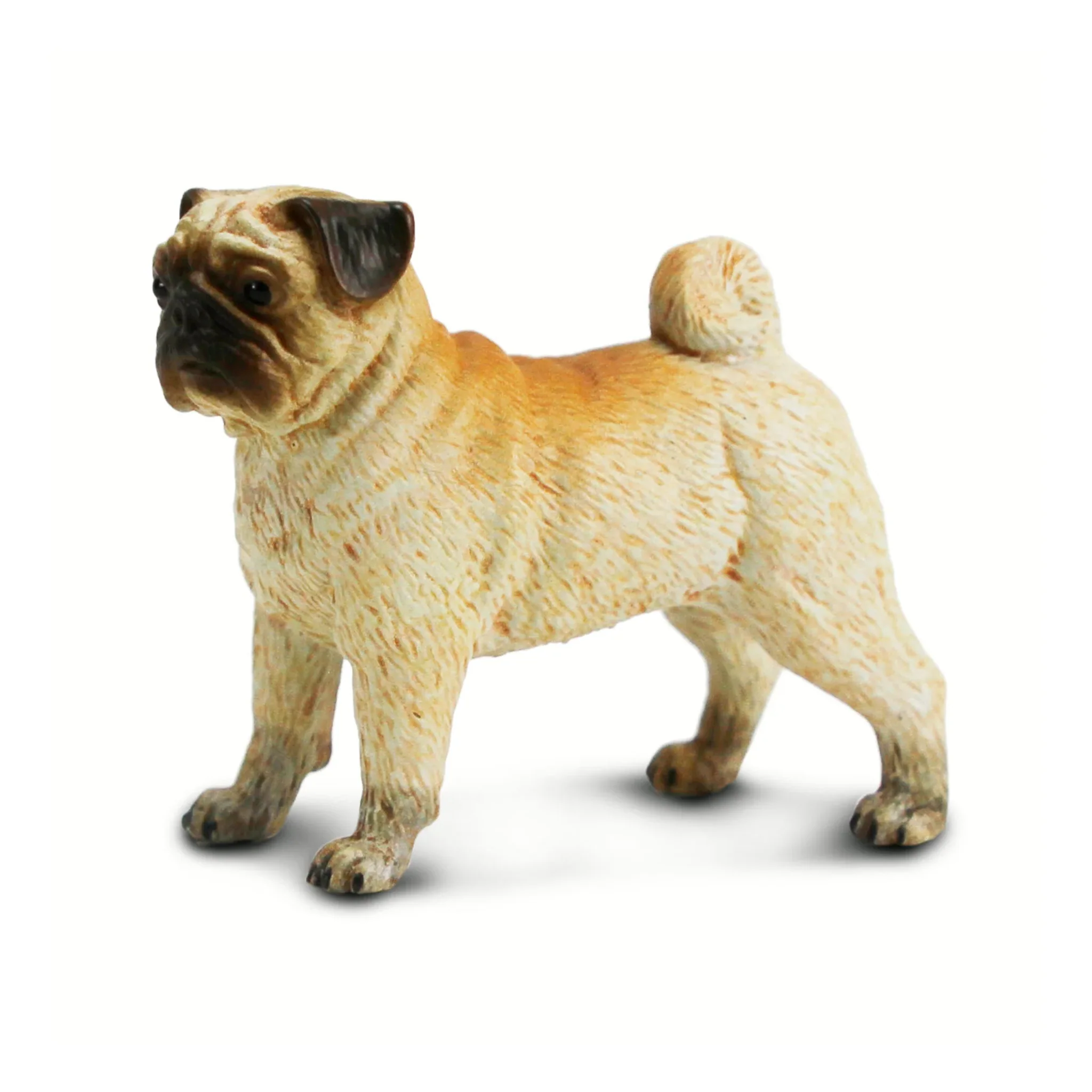 Safari Ltd Best In Show